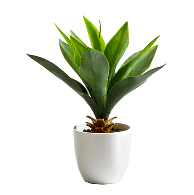 Sculptural Artificial Agave Succulent - Hire