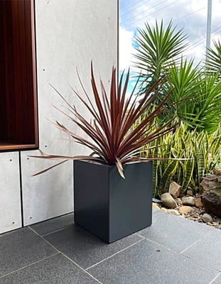 Black Designer Planter Trough Hire
