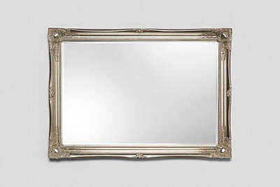Large Elegant Champagne Coloured Frame Mirror 136x75cm - Hire Large Elegant Champagne Coloured Frame Mirror 136x75cm - Hire