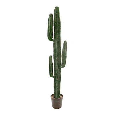 X Large Artificial Desert Cactus - Hire