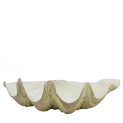 Giant Clam Shell Decor Bowl - Hire