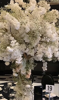 Copy of Green Banskia Stem Flower Hire Melbourne