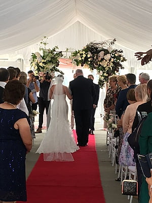 Red Carpet - Hire